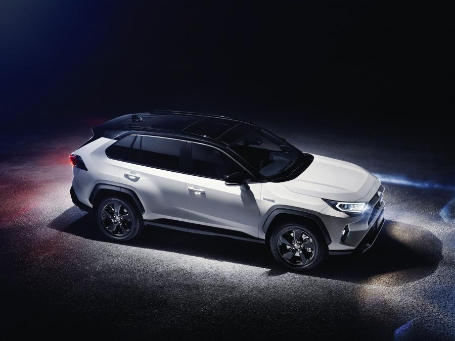  Toyota RAV4 Hybrid Style 2019 года  (WW) (фото 22 из 40)
